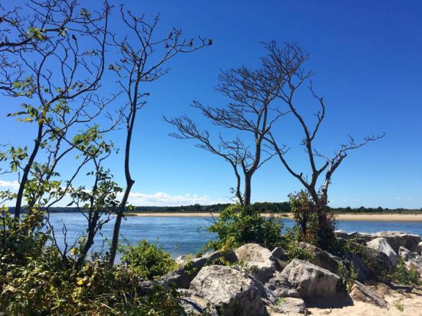 14322302_1229643280399601_5070718544008922018_n