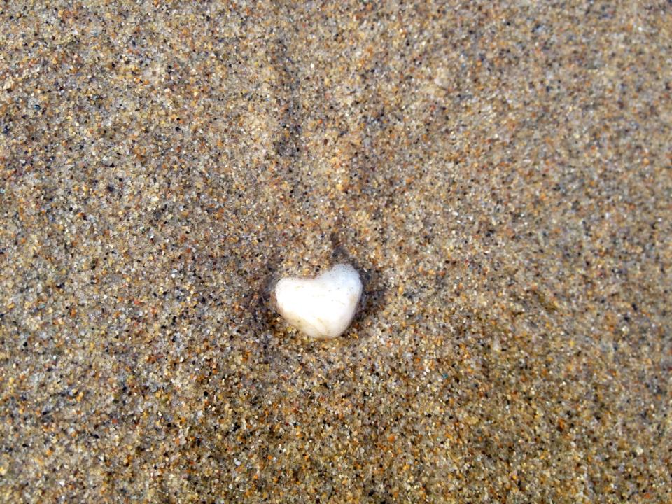 10968404_894228433941089_1707724336231780537_n