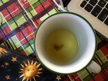 12345597_1045076655522932_4104937552467396034_n