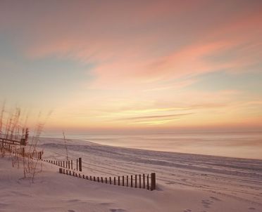 37c4d17d208a45596f40957832d24daa